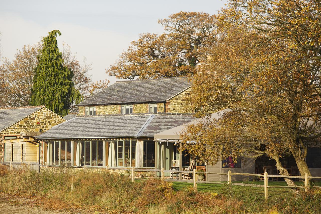 The Welldiggers Arms Bed and Breakfast Petworth Exteriör bild