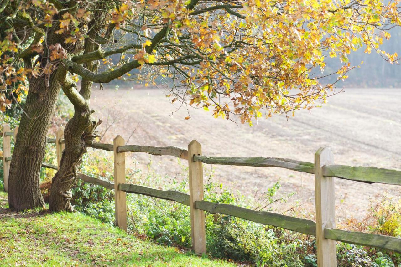 The Welldiggers Arms Bed and Breakfast Petworth Exteriör bild